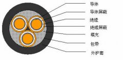 3*2.5，3*3，3*4，3*6，3*10，3*16，3*25屏蔽電纜結(jié)構(gòu)圖