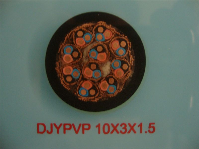 DJYVP22 DJYPV22 DJYPVP22計(jì)算機(jī)屏蔽電纜