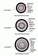 PTYA23、PTYA22鐵路鎧裝信號(hào)電纜